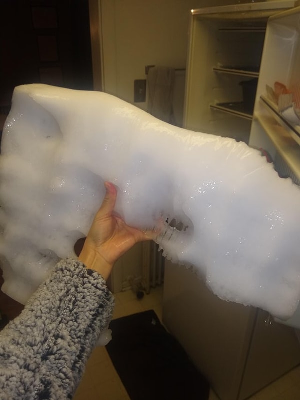 15. И, наконец, «Моя морозильная камера заморозилась». 😂