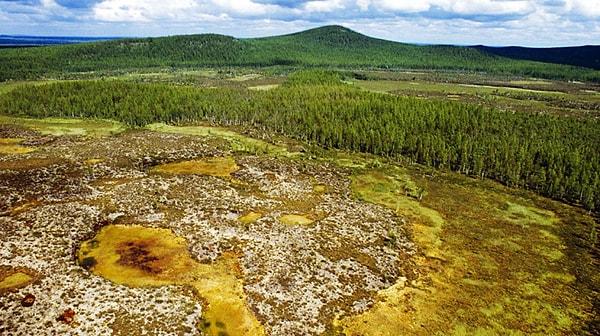 Tunguska'da yanan ağaçları inceledikleri zaman ağaçların üzerinde dünya dışı özellikler taşıyan bazı partiküller keşfettiler.
