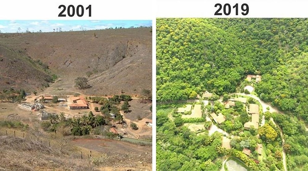 23 интригующих примеров сравнения, которые заставят вас переосмыслить вашу точку зрения