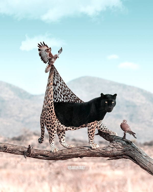 1. Переодевание