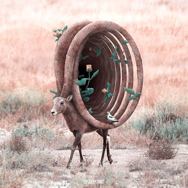 20. Дикое эхо