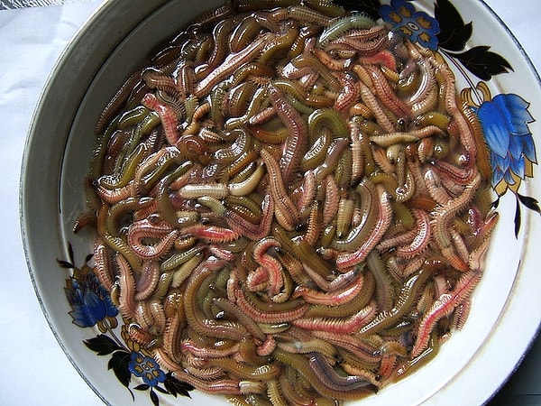 1. Chả rươi, или омлет с песчаными червями, - это сезонное вьетнамское блюдо, приготовленное из неприглядных двухдюймовых песчаных червей.