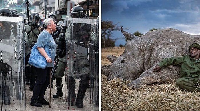 Душераздирающие итоги конкурса Px3 2020 на лучшую фотографию категории "Состояние мира"