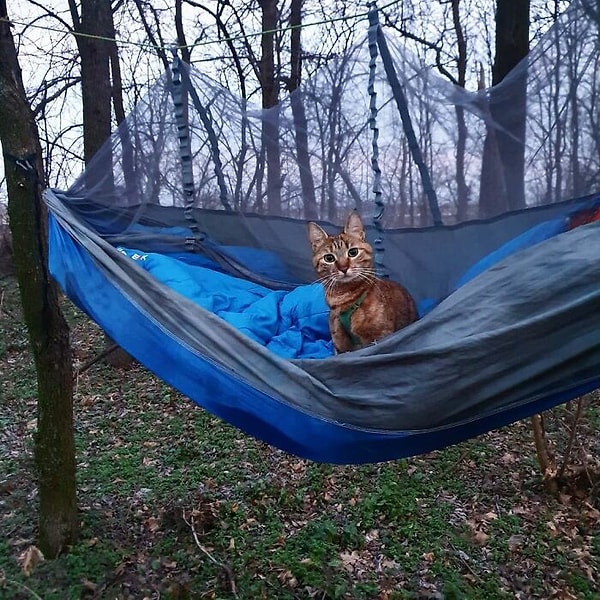 17. Велика-Плана, Сербия