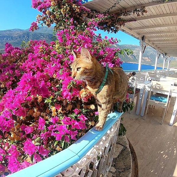 21. Анталия, Турция