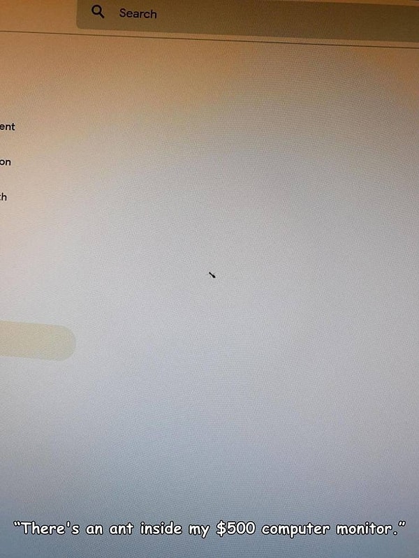 8. "Внутри моего монитора за $500 непонятно откуда взялся муравей!"