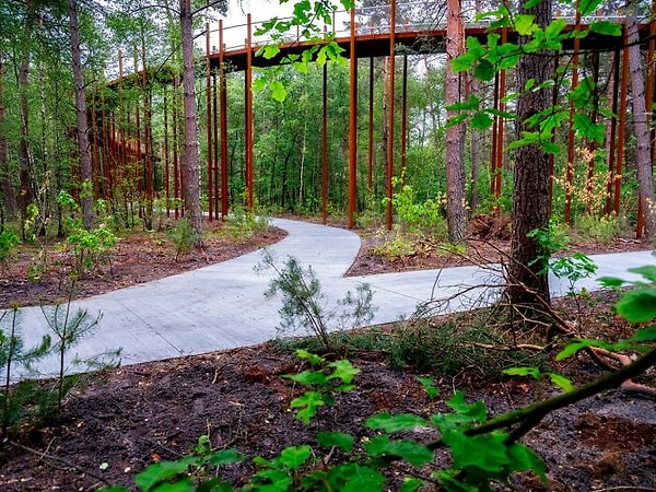 8. Эта живописная велодорожка находится в местечке Хектель-Эксель прямо в лесу.