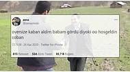 Aile Üyelerini Mizahlarına Alet Eden Goygoyculardan Haftanın En Eğlenceli 15 Paylaşımı