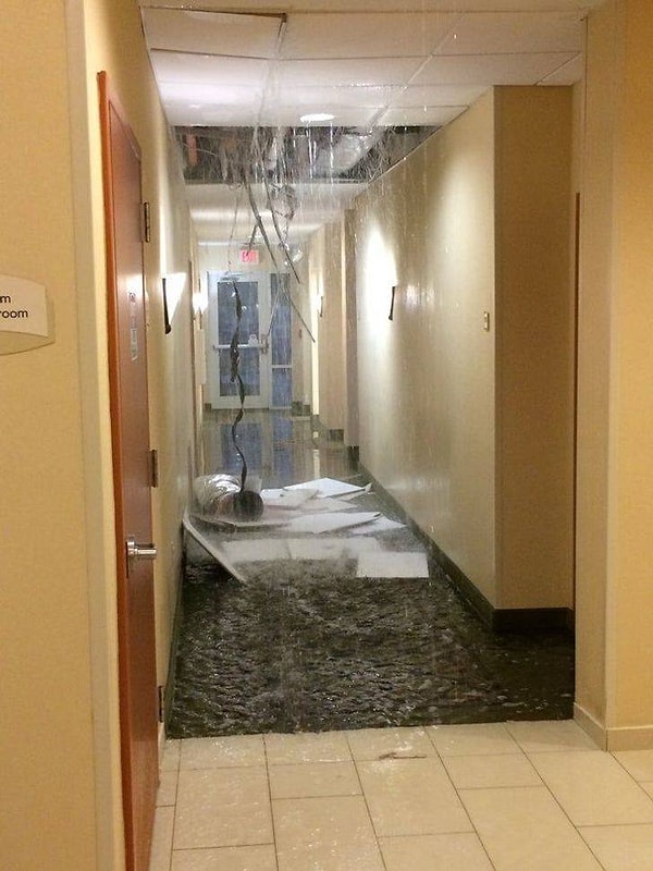 10. "Заселяюсь я, значит, в отель вчера ночью и вижу вот такую картину..."