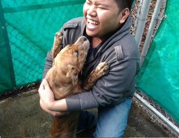 11. "Мой приятель взял домой собаку!"