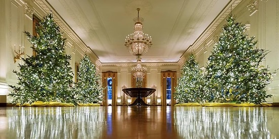 Праздник к нам приходит: В Белом Доме уже нарядили елки, а это значит, что Новый год совсем скоро!