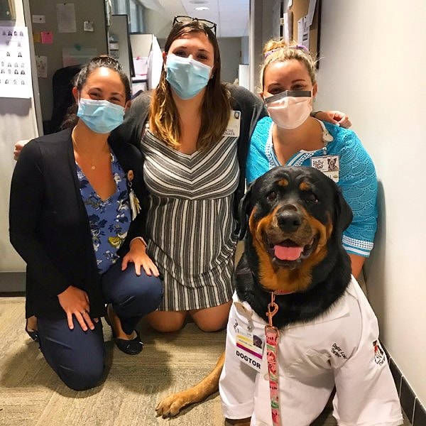 8. Во время пандемии любая помощь ценна