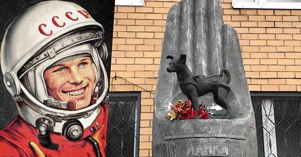 Bugün anısına Moskova'da bir heykel dikilmiş olan canım Laika'nın hayatı aslında çok da boşa harcanmış görünmez. İlk defa bir canlının atmosferde hayatta kalabileceği deneysel olarak kanıtlanmıştır çünkü.