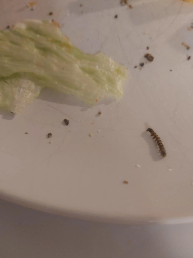 "Hamburgerimde küçük bir protein kalmış."