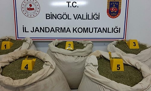 Bingöl'de 135 Kilogram Esrar Ele Geçirildi