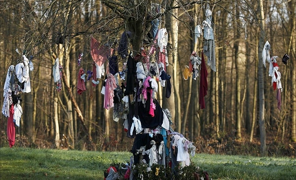 7. Интересно, осталось ли хоть одна область нашей жизни, которая не изменилась с приходом злосчастного коронавируса?