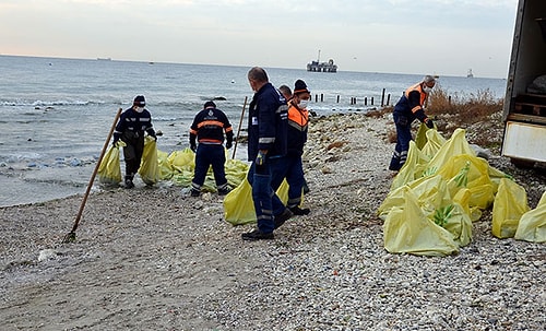 Avcılar Sahilinden Dev Deniz Anaları Toplanıyor; 10 Ton Denizanası Toplandı