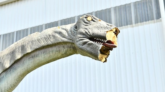 AKP'li Başkan Ankara'yı Milyonlarca Lira Zarara Uğratan Ankapark İçin 'Milli Servet' Dedi: 'Sahip Çıkılmalı'