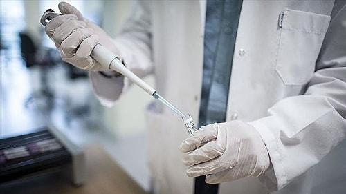 9 Soruda Türkiye'de Koronavirüs Aşısı: Hangi Aşılar Gelecek, Ne Zaman Kullanılabilecek?
