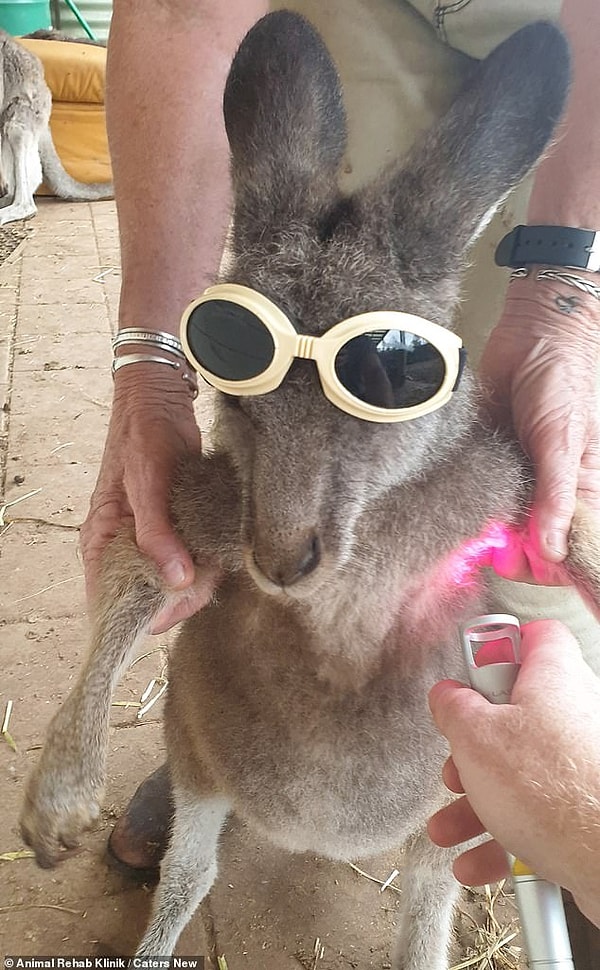 «Они выглядят очень круто, как олдскульные пилоты, которые собираются взлететь».