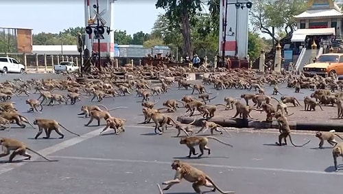 Bambaşka Bir Ülke Olan Hindistan'da Yaşayanlara Aşırı Normal Gelen Ama Bizce Anormal Olan 22 Şey