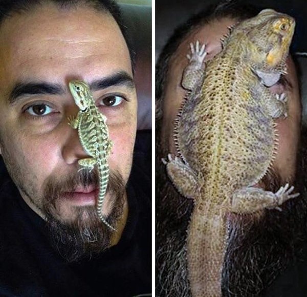 «Рекс сильно изменился за 5 лет».