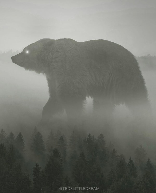 12. Лесной король