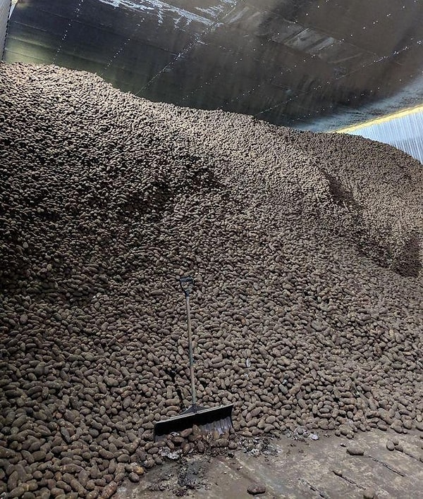 12. Картофельный склад: