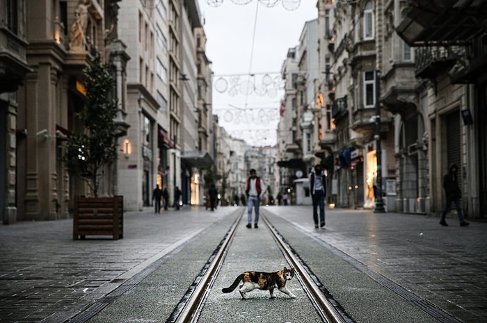 Türkiye Açık Adresten 'Kodlu Adres' Sistemine Geçiyor: Artık Herkesin 9 Haneli Kodu Olacak