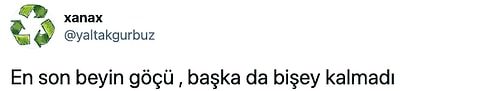 "Hamsi Türkiye'den Kaçıyor" Haberine Yaptıkları İğneleyici Yorumlarla Mevzuyu İnce Gören Mizahşörler