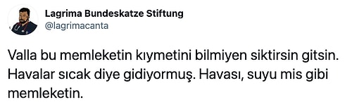 "Hamsi Türkiye'den Kaçıyor" Haberine Yaptıkları İğneleyici Yorumlarla Mevzuyu İnce Gören Mizahşörler