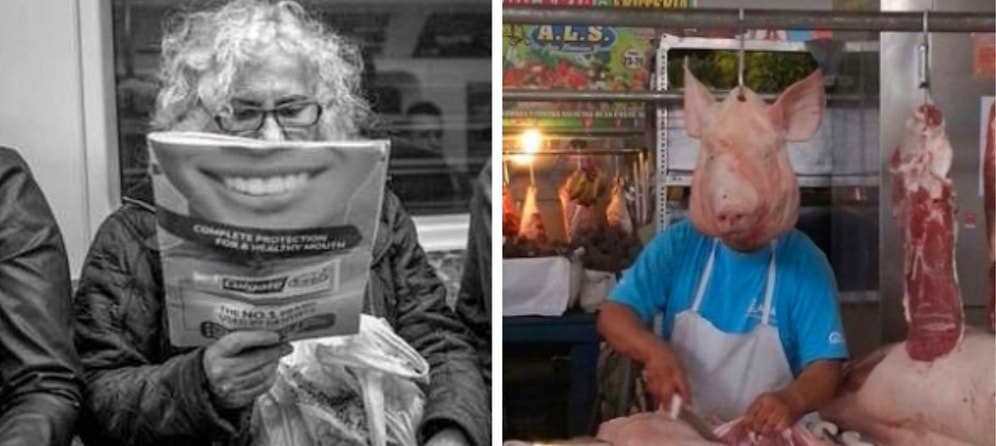 Наш мир - такой странный и удивительный...особенно если сфотографировать его в правильный момент (14 фото)