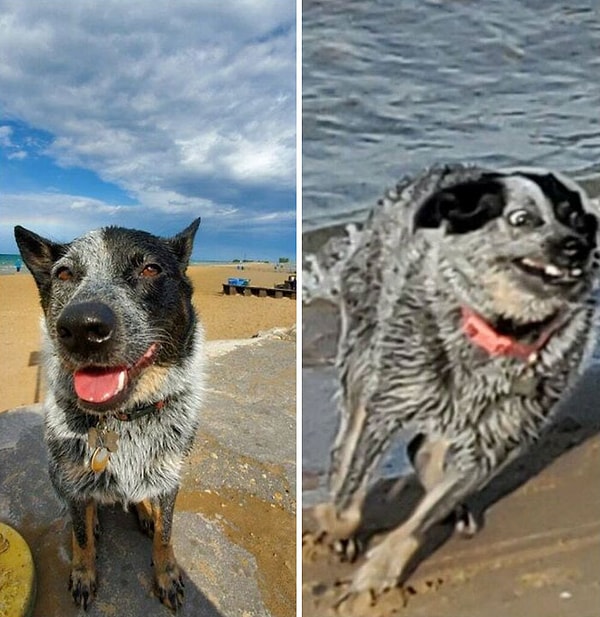 9. "Моя маленькая королева красоты".