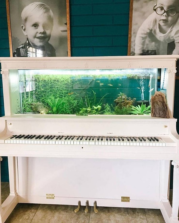 11. "Старое фортепиано уже может и не работать, но зато аквариум в нем смотрится просто на все сто!"