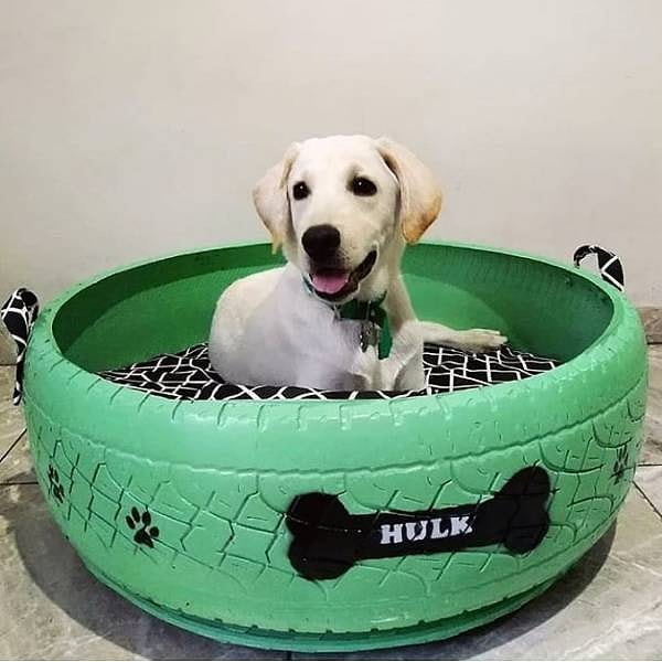 16. "Старые шины - отличный материал для изготовления лежанок для котов и собак".