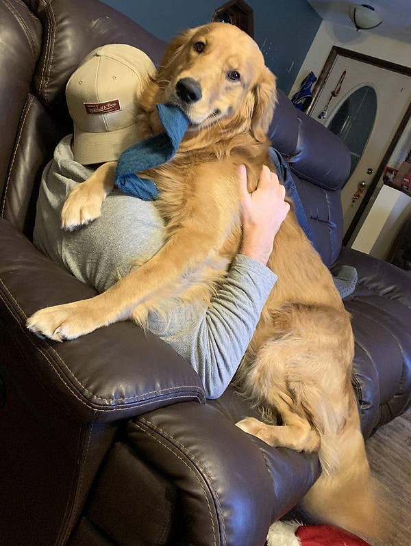 12. "Человек, хочешь носок и пообниматься?"