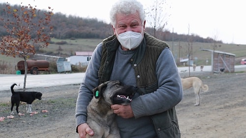 Kendini Sokak Hayvanlarına Adadı, 71 Yaşında Veterinerlik Okudu