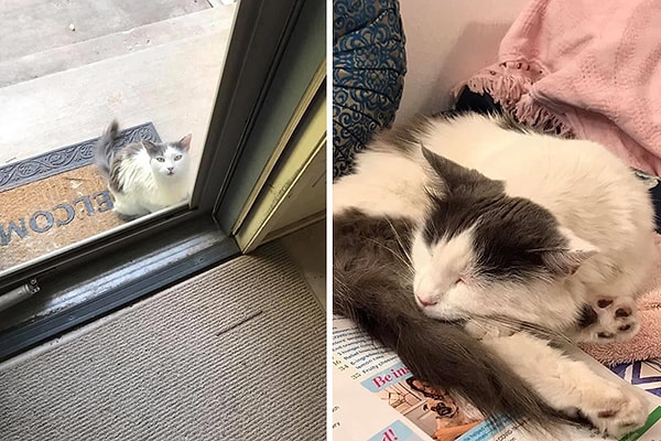 9. Моя мама - риэлтор. Она пошла показать пустой дом и обнаружила, что предыдущие хозяева кое-что оставили