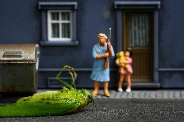 3. Возвращайся в дом Лили!