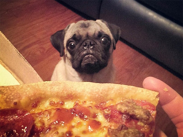 13. Ну позвольте хоть немного заморить червячка. Люди, ЛЮДИ, ЧЕЛОВЕКИ!