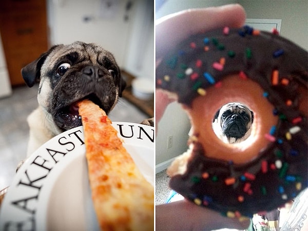 19. Что не смогу съесть, то понадкусаю.