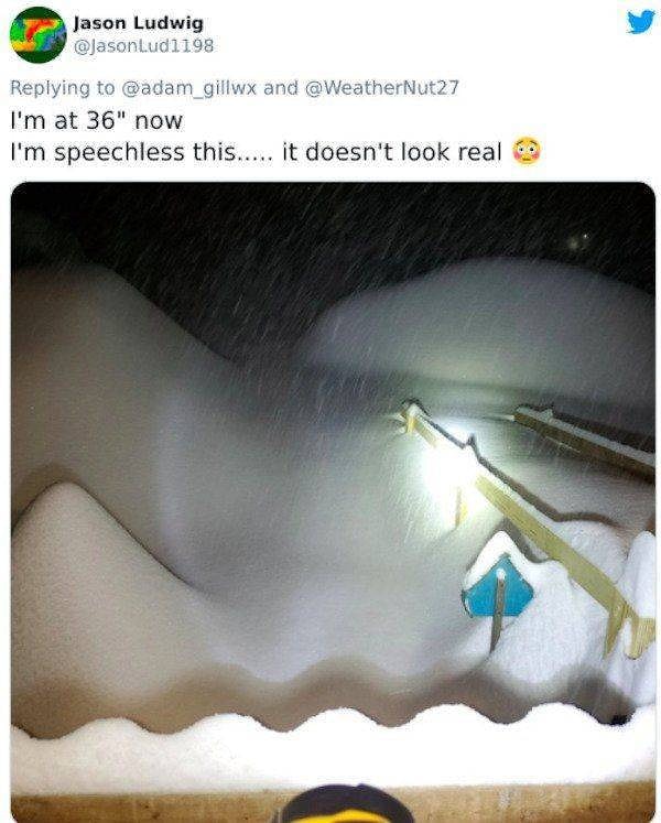 21. "Уже почти метр снега...У меня нет слов!"