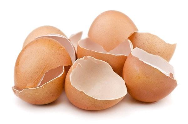 9. Yumurta kabuklarını nasıl değerlendirebileceğini biliyor musun?