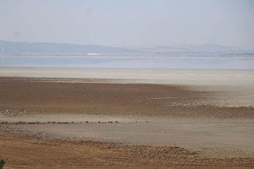 Kontrolsüz Açılan Kuyuların da Etkisi Var: Kuş Cenneti Acıgöl'de Kuraklık Tehlikesi