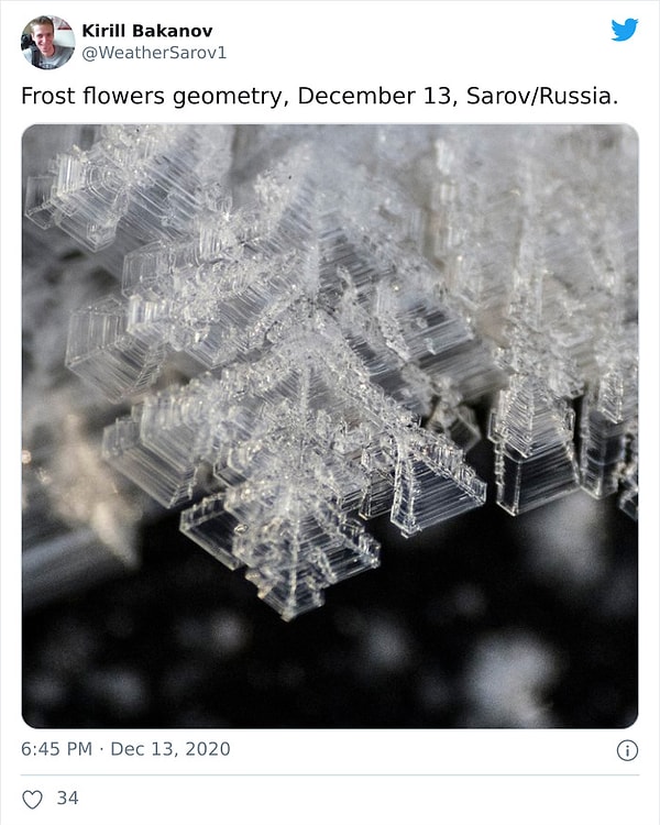 5. Геометрия ледяных цветов. 13 декабря, Саров