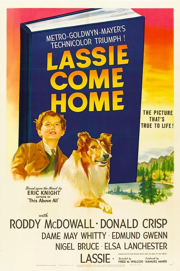 5. Lassie Come Home - Lassie Yuvaya Dönüş (1943)