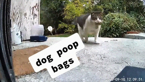 13. Пакетики для собачьих какашек: ну, пусть будут!