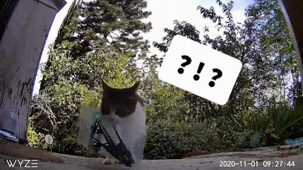 17. И еще что-то непонятное, но, безусловно, нужное.