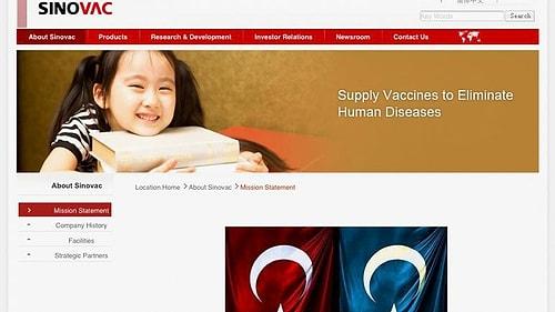 Türk Hackerlar, Çinli Aşı Üreticisi Sinovac Sitesine Doğu Türkistan Bayrağı Koydu