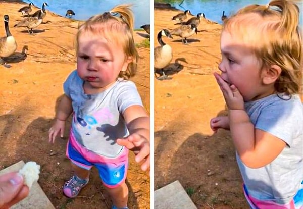 4. "Отправились в парк для того, чтобы покормить уток. В итоге покормился наш ребенок".